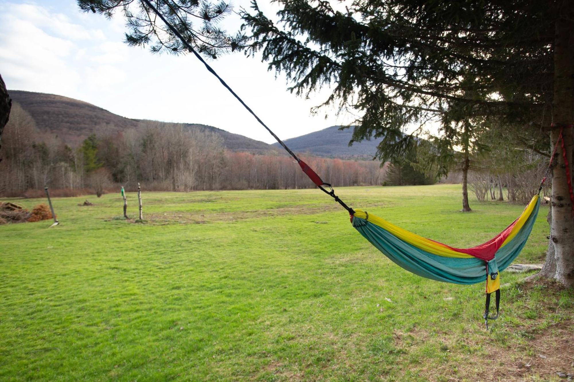 Cheerful 3-bedroom With Mountain View East Jewett
